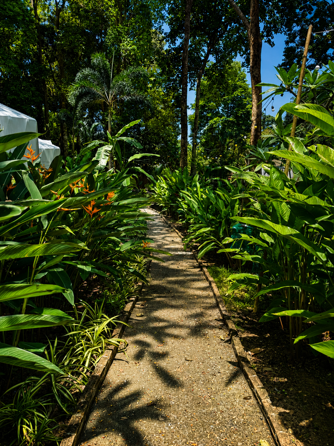 Vanara Eco Resort surrounded by tropical greenery