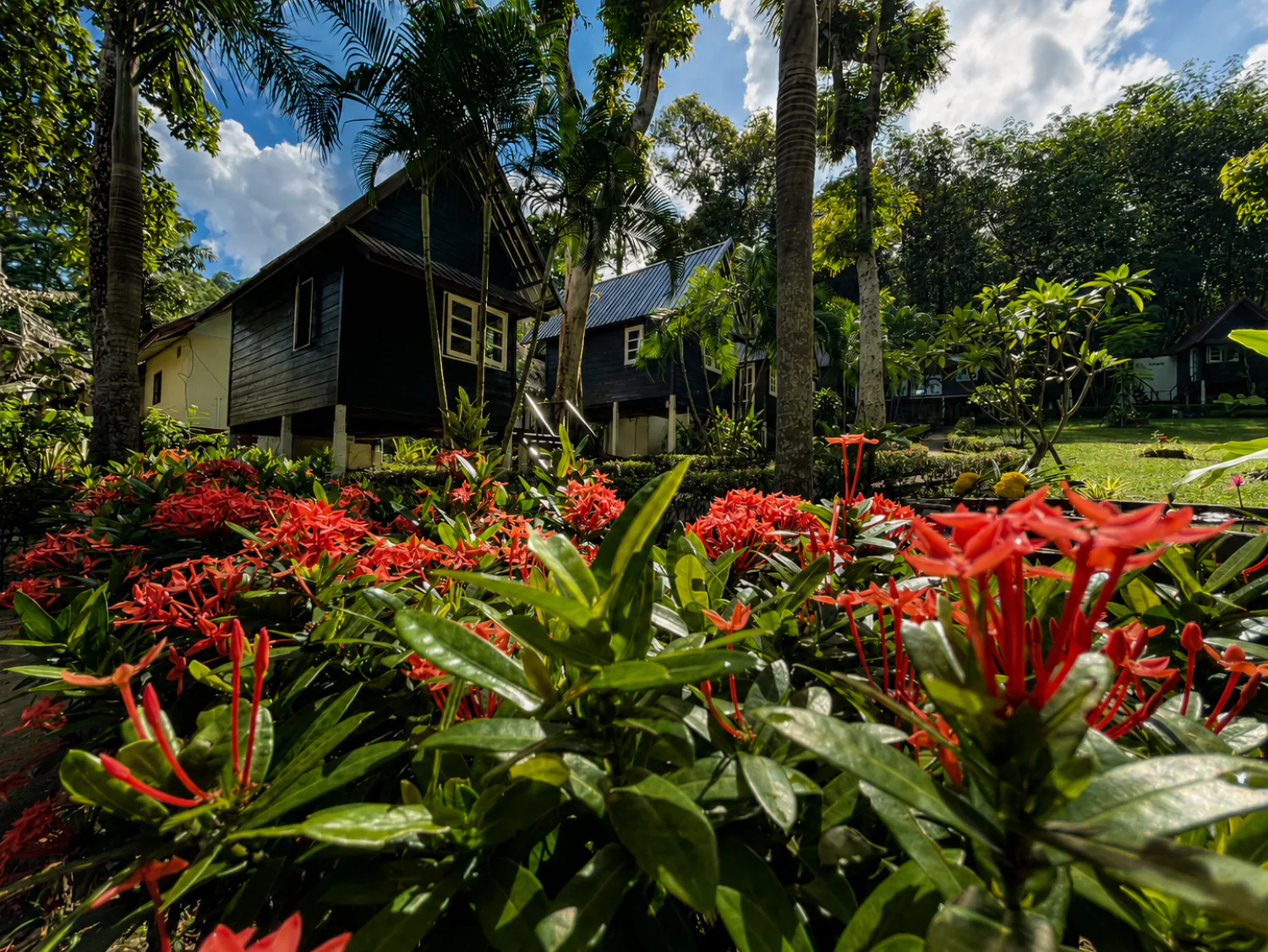Tropical garden at Vanara Retreat