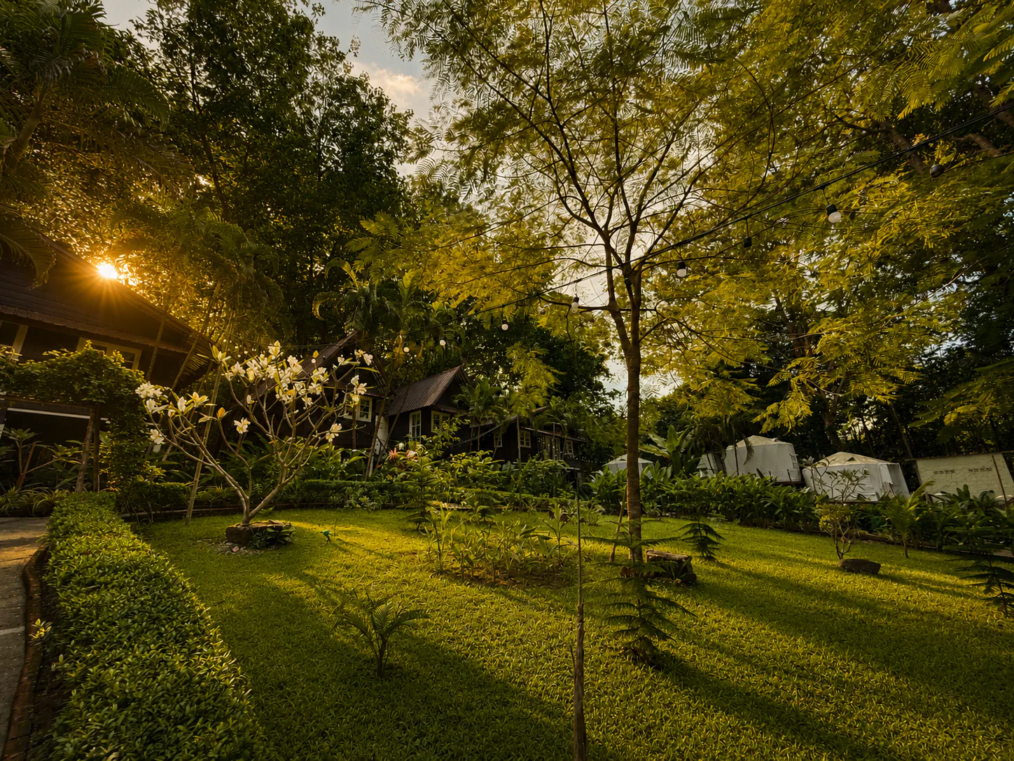 Garden view at Vanara Retreat