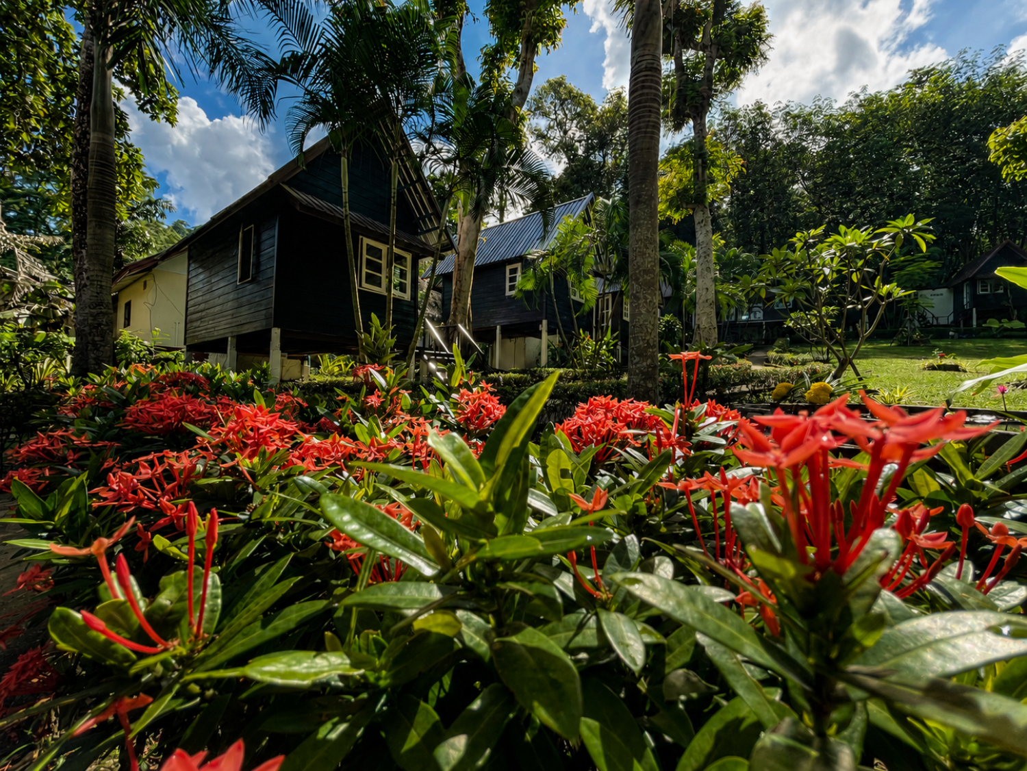 Exterior detail of a Jungle Bungalow surrounded by tropical vegetation at Vanara