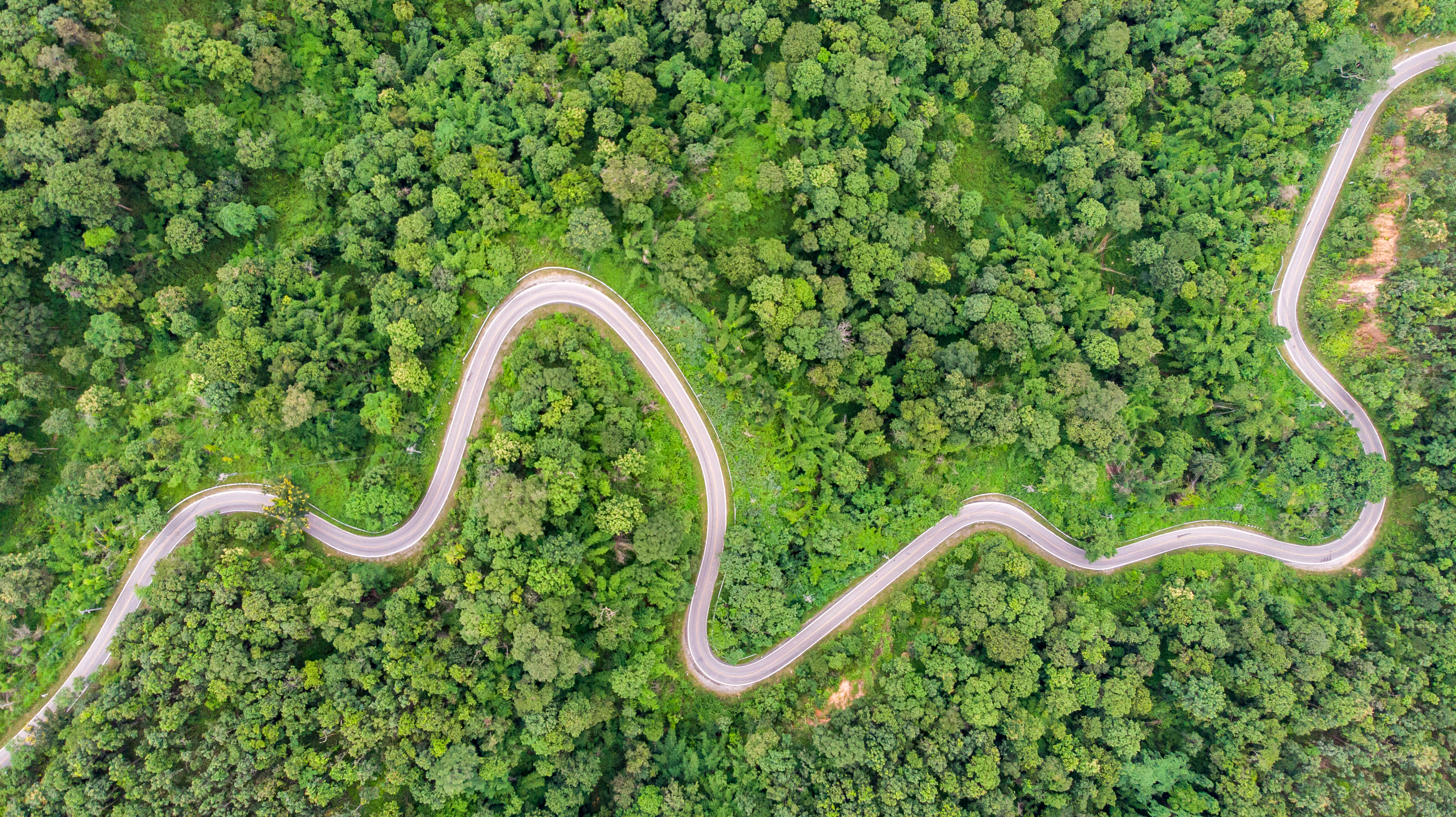 Scenic Road Vertical