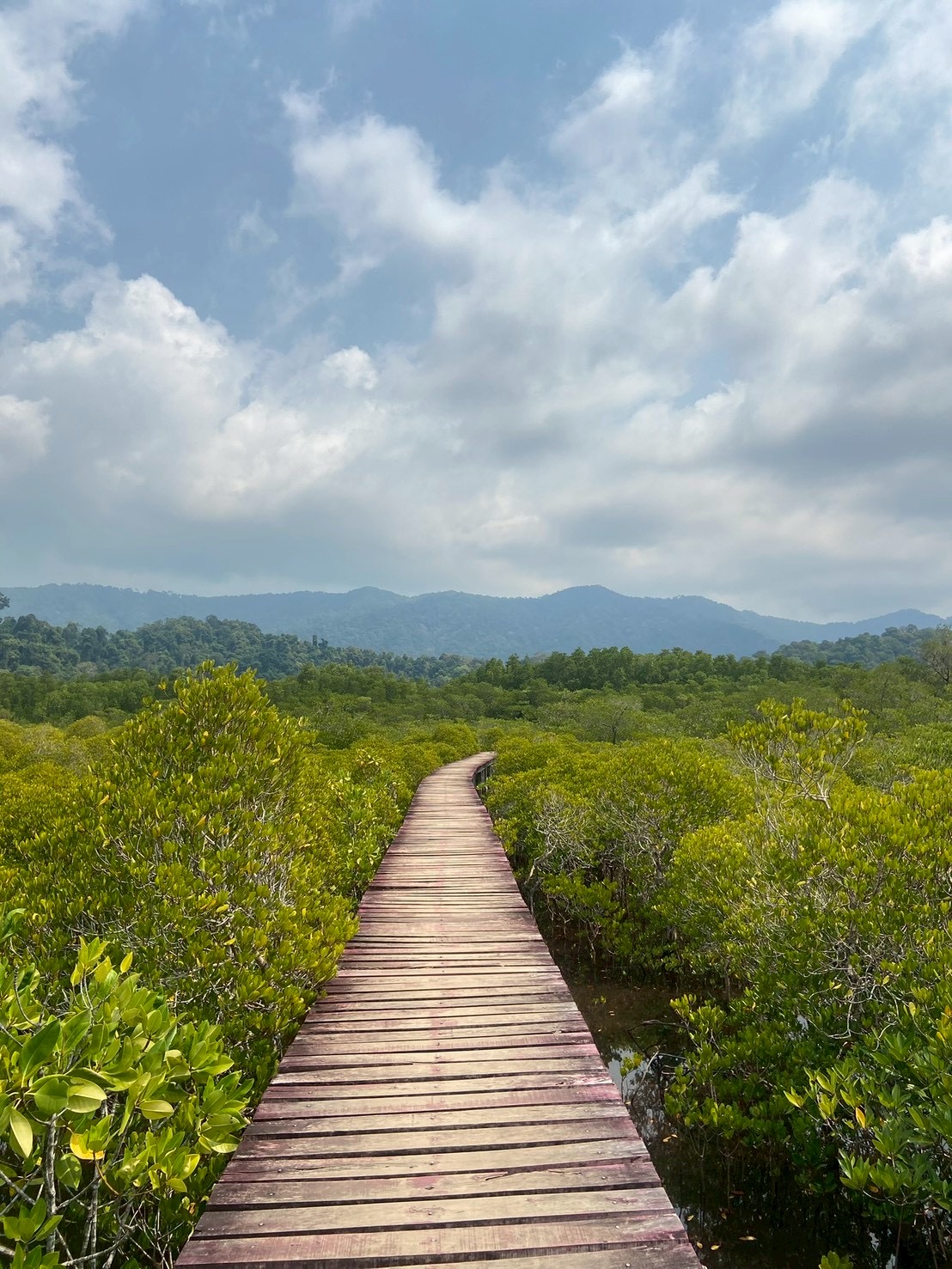 Salak Khok Mangroves