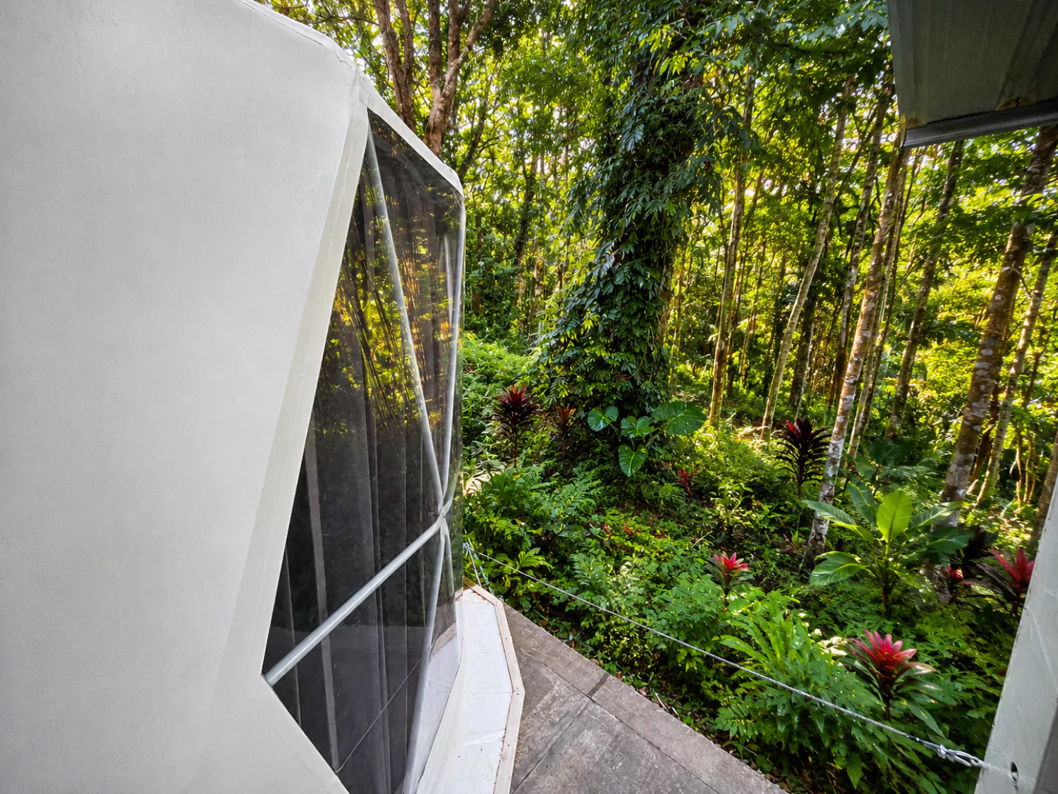 Panoramic jungle window inside a Glamping Yurt at Vanara Retreat
